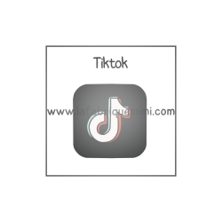 Vignette - Tiktok